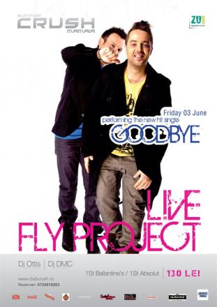 fly_project.jpg