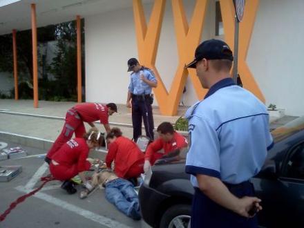 img179.jpg img179.jpg