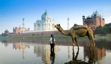 india4-inside.jpg