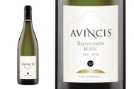Vinul săptămânii Sauvignon Blanc Avincis 2010