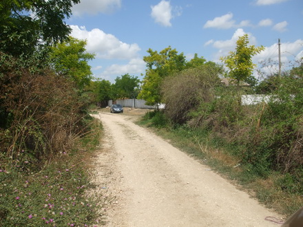 peisajul comunei campioane la bani de la cjc strazi cu buruieni canalizari fara capace si scoala din