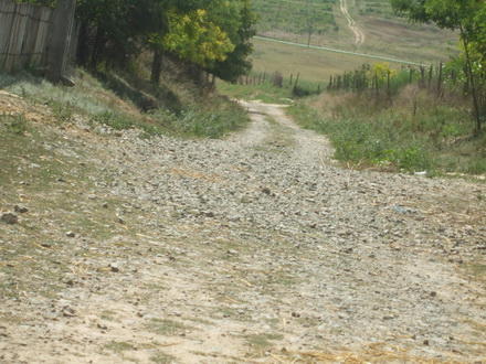 peisajul comunei campioane la bani de la cjc strazi cu buruieni canalizari fara capace si scoala din