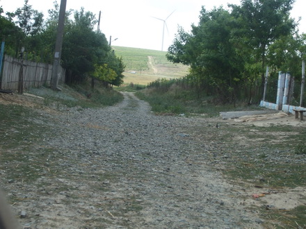 peisajul comunei campioane la bani de la cjc strazi cu buruieni canalizari fara capace si scoala din