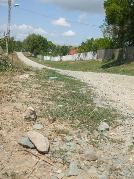 peisajul comunei campioane la bani de la cjc strazi cu buruieni canalizari fara capace si scoala din