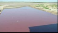 Vine apocalipsa? Un lac din Texas s-a făcut „sânge”