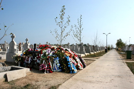 fotoreportaj un munte de flori mormantul lui tzacla 64376 343646
