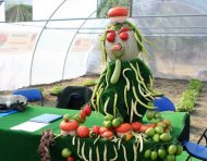 Fotoreportaj Ziua recoltei la Constanta