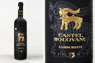 Vinul săptămânii Cabernet Sauvignon Castel Bolovanu 2008