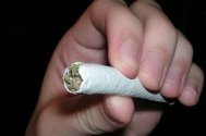 Consumul de marijuana de către şoferi dublează riscul de accident