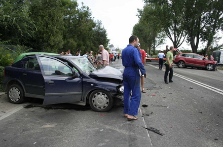 cobzariu12.jpg cobzariu12.jpg