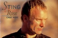 Sting - Desert Rose 