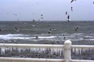 Fotoreportaj Feerie hibernală cu ţurţuri, valuri şi pescăruşi