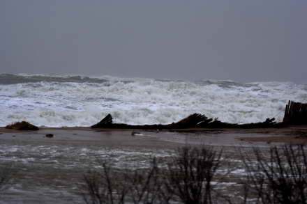 fotoreportaj spuma marii negre pe soseaua dintre eforie sud si nord 60971 357500