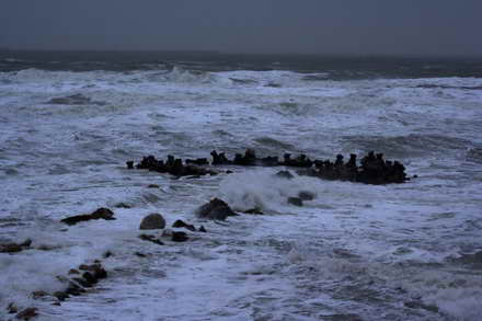 fotoreportaj spuma marii negre pe soseaua dintre eforie sud si nord 60971 357500