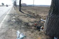 Opel înfipt în pom, pe DN 2A Tânără moartă în propriul accident (galerie foto)