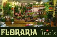 Florăria Tria\'s - din dragoste pentru plante 