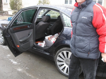 tigari_audi_004.jpg tigari_audi_004.jpg