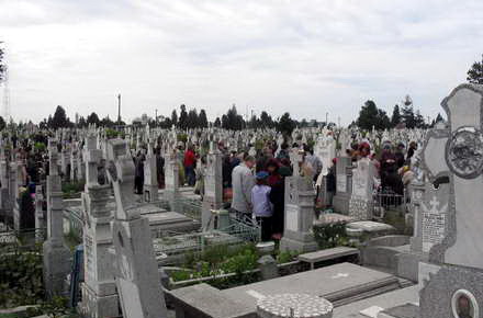 clares_cimitirul_central3.jpg