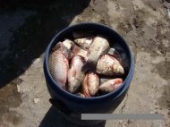 Buletin Informativ - Garda de Coasta