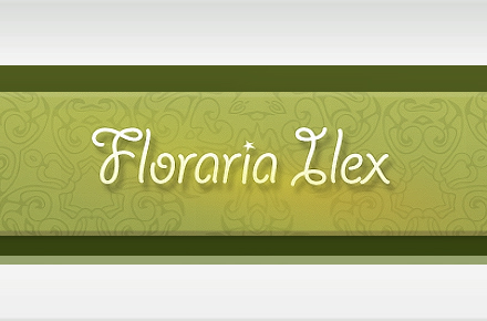 floraria-llex.jpg