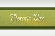Floraria Ilex