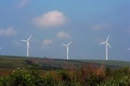 Parlamentul European va monitoriza atent eolienele din Dobrogea