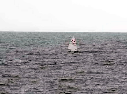 IMG_8358.jpg IMG_8358.jpg