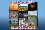 Primăria Comunei Peştera Raport de activitate, Primar Valentin Vrabie (document) 