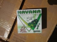 Buletin Informativ - Garda de Coasta 