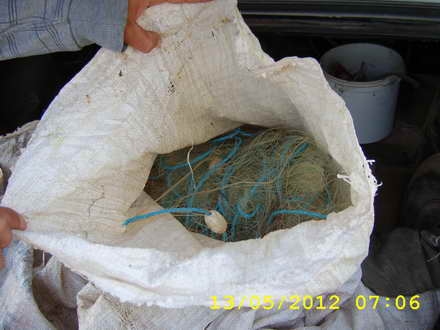 sta50009.jpg