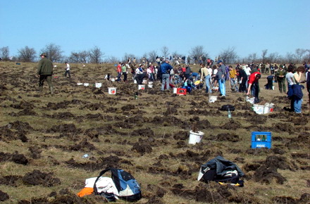 poartaalba-impaduriri.jpg