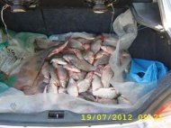 Buletin informativ IPJ Constanţa - Vineri, 20 Iulie 2012