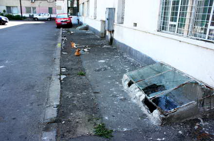 Andronescu_geamuri_sparte.jpg