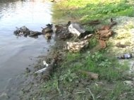 Buletin informativ IJJ Constanţa - Miercuri, 08 August 2012