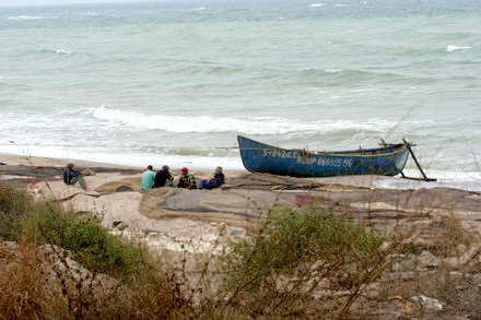 lipoveni pe plaja de la tuzla renegatii deltei si au intins plasele in marea neagra 73216 382841