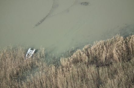 imagini_elicopter.jpg imagini_elicopter.jpg