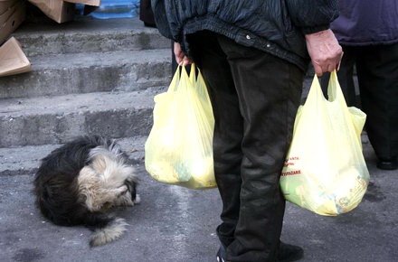 licitatie_primarie__pachete_batrani_pensionari.jpg