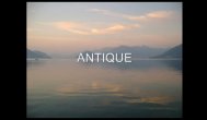 Antique - Why? 