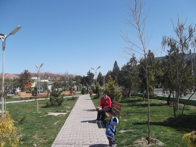 mai mult spatiu verde la harsova s a finalizat amenajarea a doua parcuri urmeaza cel de al treilea galerie