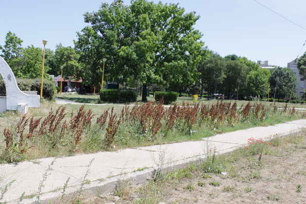 gratare leagane ruginite si buruieni uscate asa isi intampina vizitatorii parcul din poarta 6 galerie