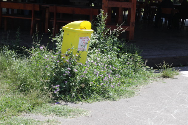 gratare leagane ruginite si buruieni uscate asa isi intampina vizitatorii parcul din poarta 6 galerie