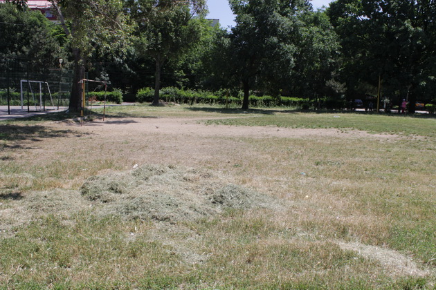 gratare leagane ruginite si buruieni uscate asa isi intampina vizitatorii parcul din poarta 6 galerie