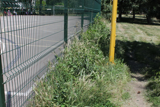 gratare leagane ruginite si buruieni uscate asa isi intampina vizitatorii parcul din poarta 6 galerie