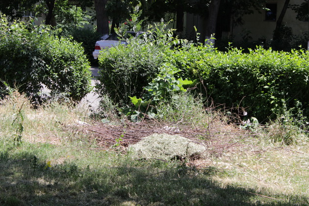 gratare leagane ruginite si buruieni uscate asa isi intampina vizitatorii parcul din poarta 6 galerie