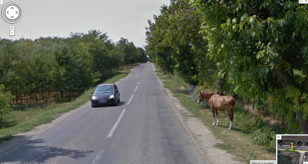 fantana din mijlocul ulitei asfaltate eternul si fascinantul sat constantean surprins de google maps