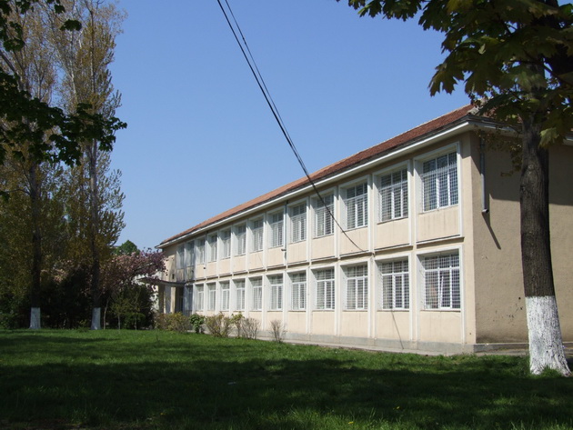 sa cunoastem si sa recunoastem valorile zece elevi constanteni cu zece pe linie la evaluarea nationala