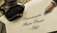 Lumea poeziilor Marin Sorescu - Șah