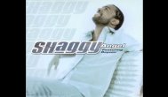 Melodia zilei Shaggy - Angel ft. Rayvon 