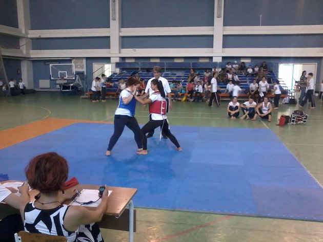fac o echipa trasnet ca in povestile cu bruce lee si chuck norris cinci medalii de aur la un campionat