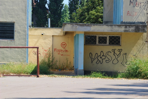 cuvinte imagini obscene injuraturi mesajele elevilor postate pe peretii scolilor constantene galerie